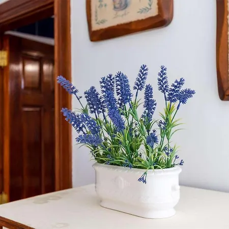 Casa vacanze Bezanilla